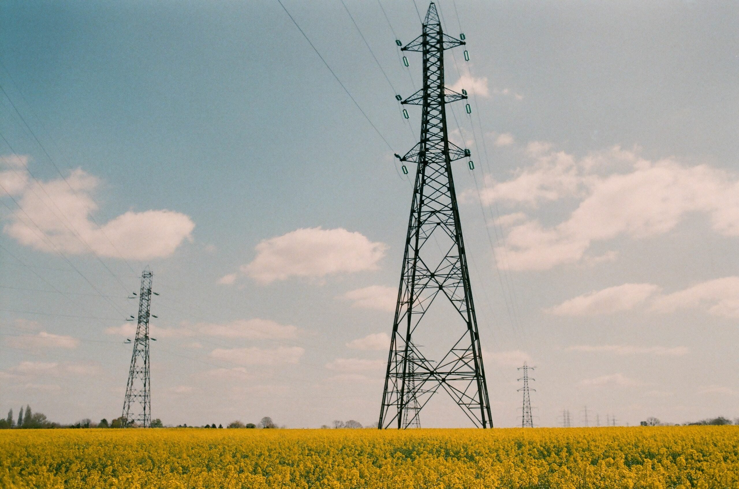 Pylônes et lignes à haute tension traversant un champ en France
