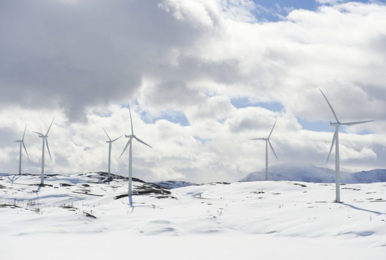Le Groenland sera-t-il l’eldorado éolien de l’Europe ?