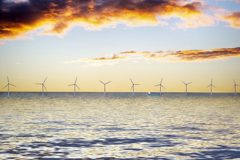 Impact environnemental des éoliennes offshore : globalement bénéfique pour la biodiversité
