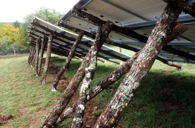 Cette coopérative citoyenne construit son parc photovoltaïque sur des supports en bois brut local