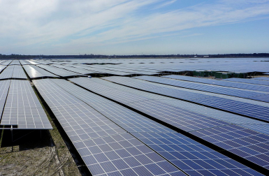 La future plus grande centrale solaire d’Europe veut raser une forêt landaise