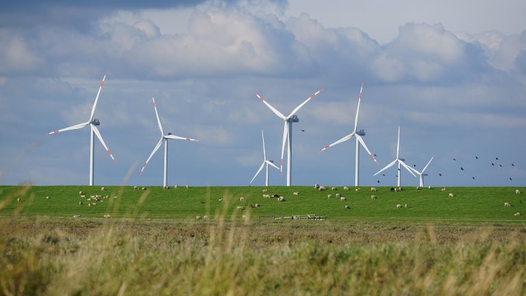 Où se situera le plus puissant parc éolien terrestre de France ?