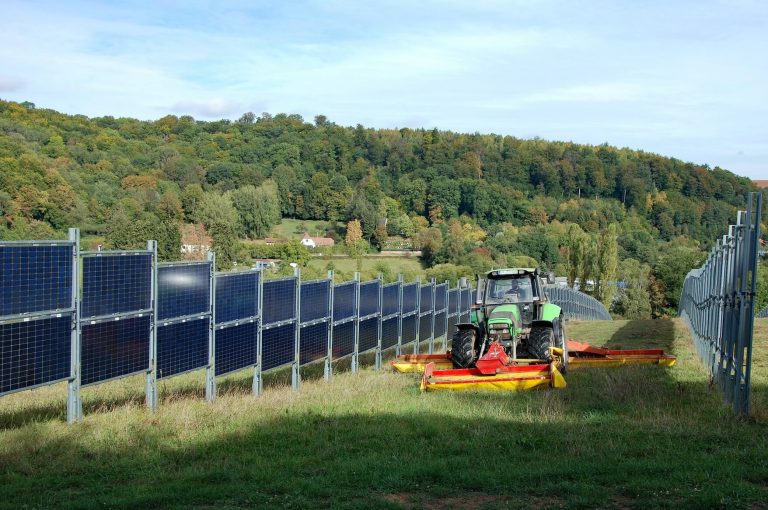 Comment des panneaux solaires verticaux peuvent soutenir les agriculteurs
