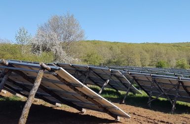 Première mondiale : le parc solaire sur bois brut de Céléwatt injecte ses premiers kWh