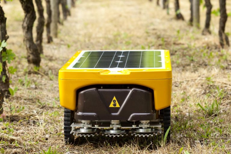 Que devient le robot tondeur électrique solaire autonome Vitirover ?