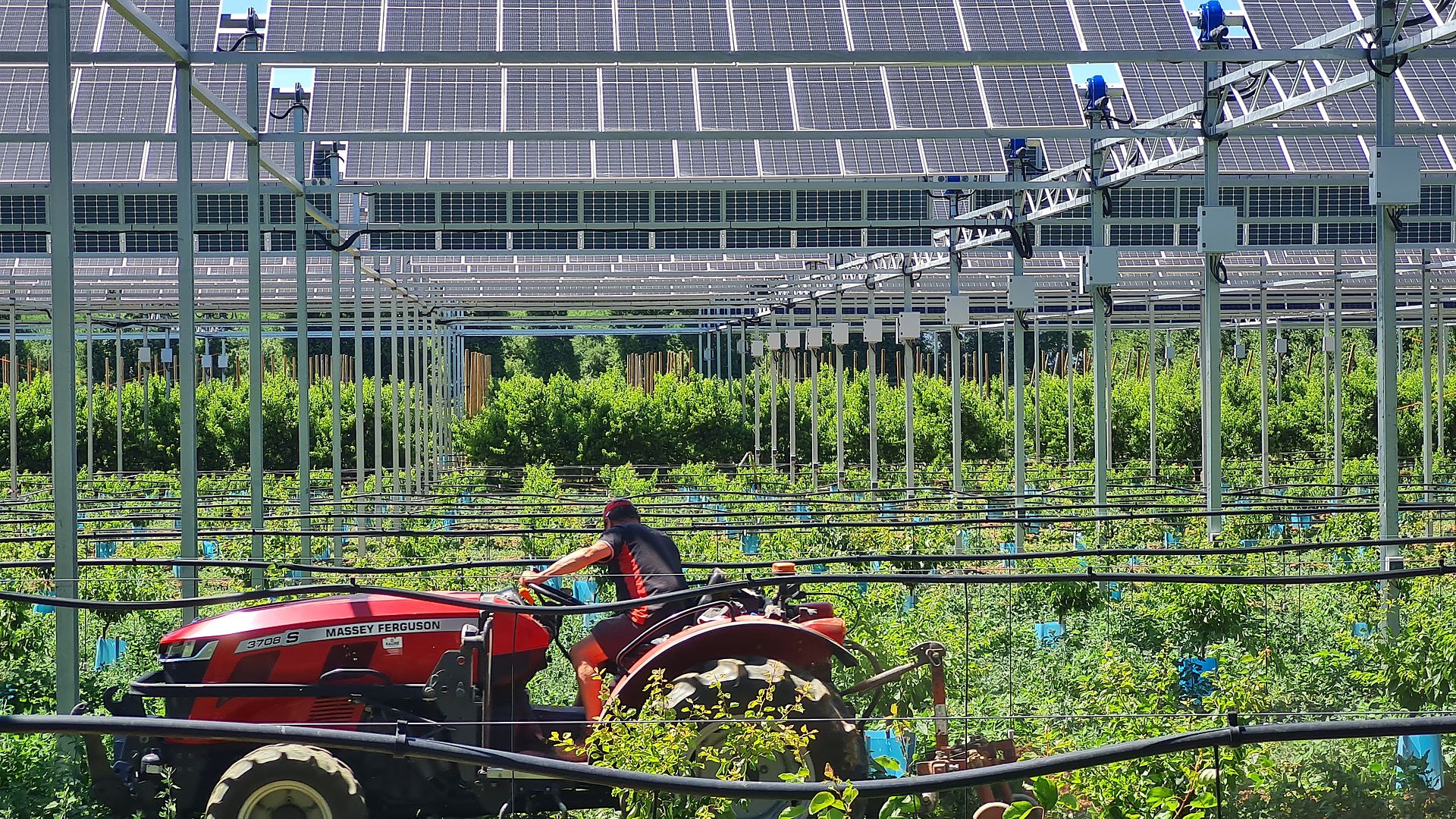 Un projet agrivoltaïque de Sun'Agri obtient le premier label de l