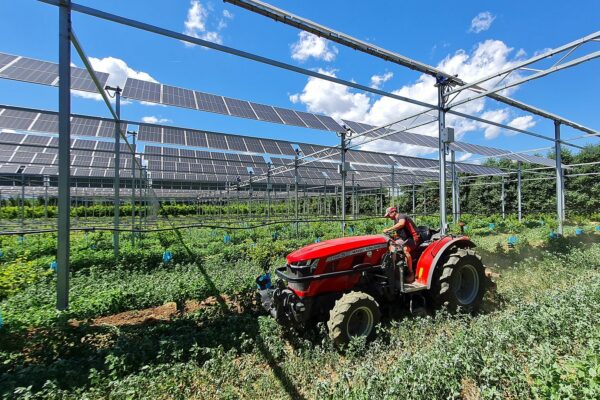Agrivoltaïsme : à quel point le marché va exploser ?