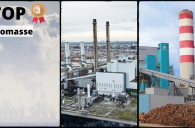 Les 3 centrales à biomasse les plus puissantes du monde