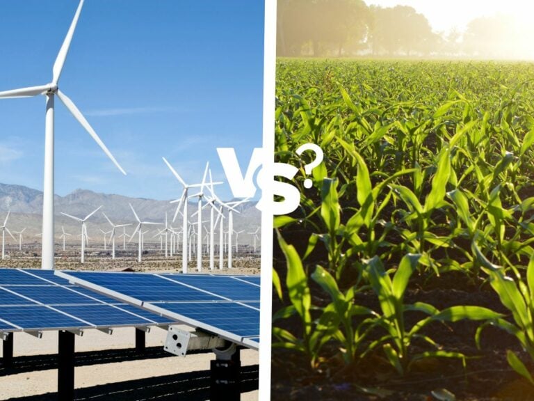 Pourquoi éolien et solaire ne sont pas une menace pour la production alimentaire
