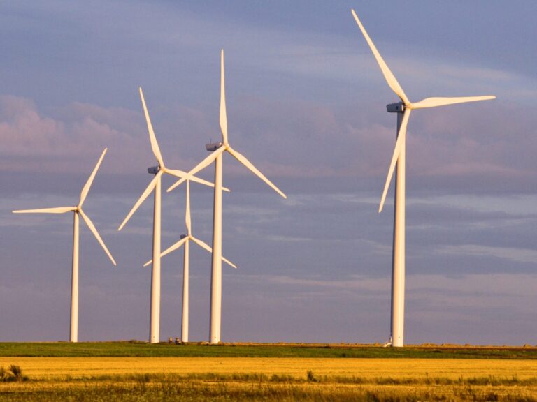 L’éolien bât son propre record de production sur 24 heures en France