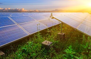 L’énergie solaire est-elle la plus respectueuse des sols ?