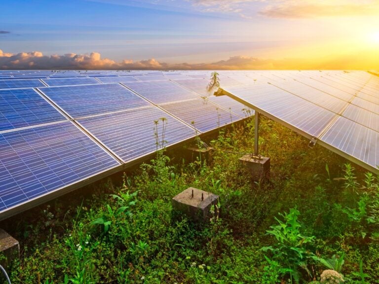 L’énergie solaire est-elle la plus respectueuse des sols ?
