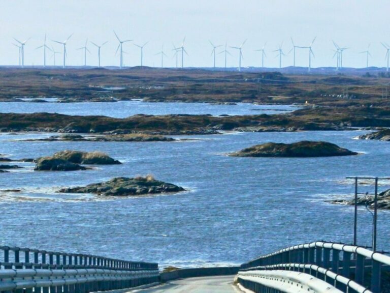 Ce pays veut recouvrir ses mers d’éoliennes pour décarboner l’Europe