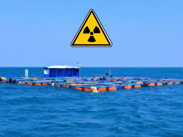 Cette plateforme va extraire l’uranium de l’eau de mer pour alimenter des centrales nucléaires