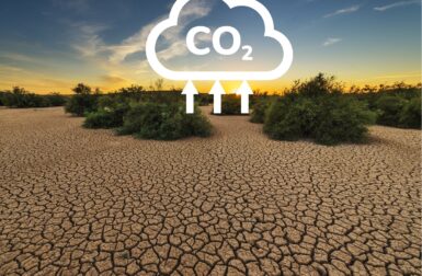 Comment la sécheresse fait exploser les émissions de CO2