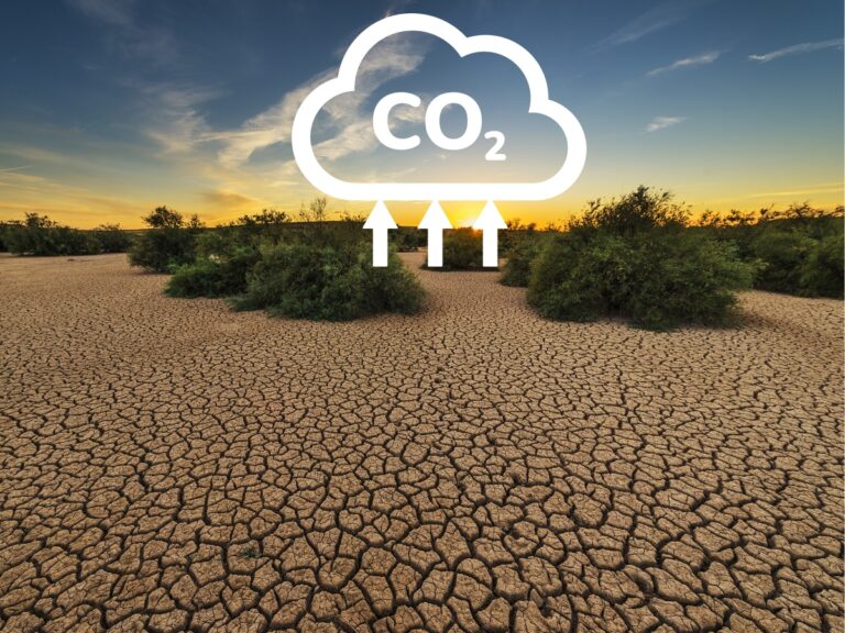Comment la sécheresse fait exploser les émissions de CO2