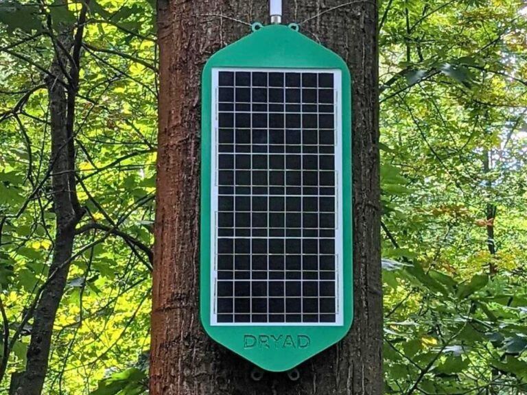 Ce panneau solaire peut empêcher les méga-feux de forêt