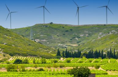 Éolien terrestre : 54 nouveaux parcs vont fleurir en France