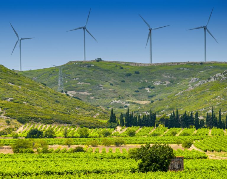 Éolien terrestre : 54 nouveaux parcs vont fleurir en France