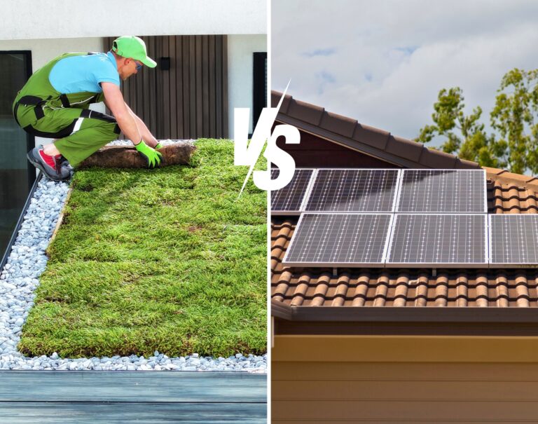 Installer des panneaux solaires ou végétaliser son toit : plus besoin de choisir
