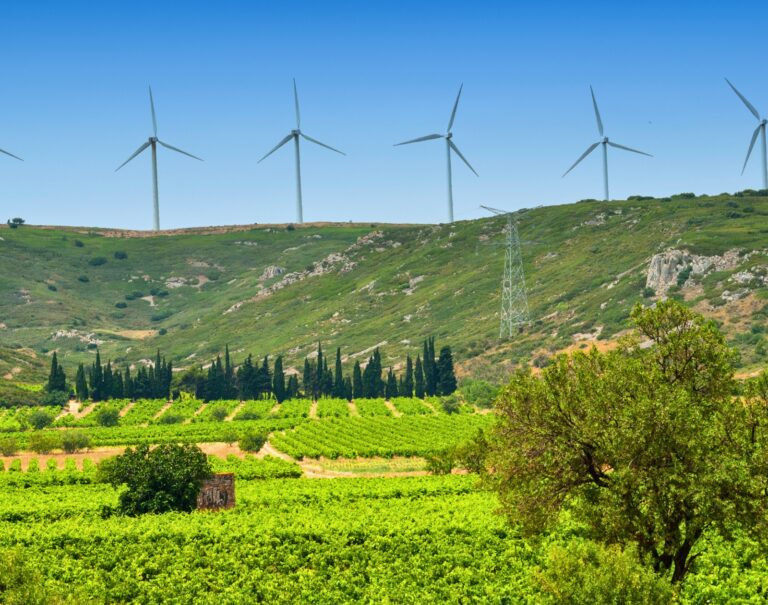 Plus de 17 GW de puissance instantanée : l’éolien français bat un nouveau record