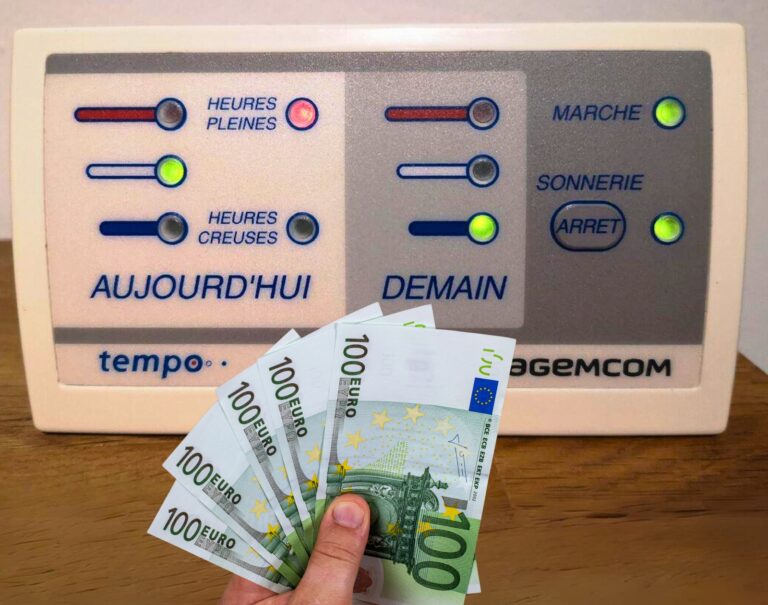 L’étonnant business des boîtiers EDF Tempo vendus plus de 100 € sur Leboncoin