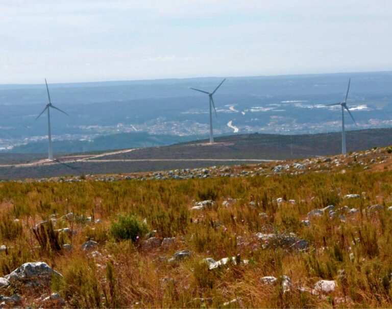 Les énergies renouvelables ont battu des records en 2023 au Portugal
