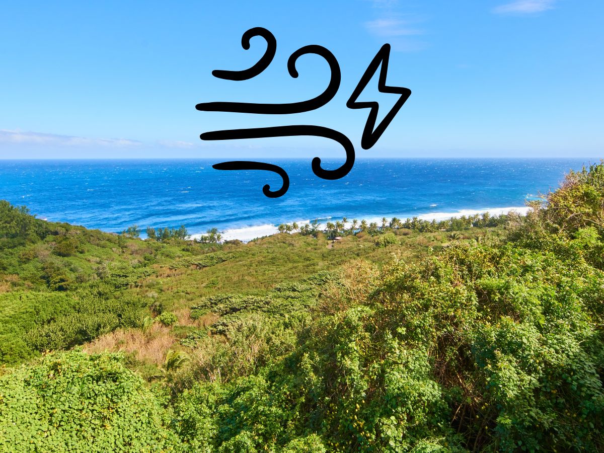 Alimenter La Réunion avec un parc éolien flottant ?