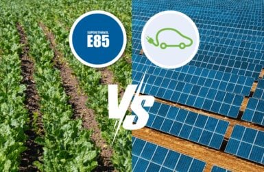 Panneaux solaires ou champs de betteraves : qui est le plus efficace pour alimenter les voitures « propres » ?