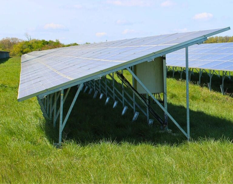 Les centrales solaires agrivoltaïques seraient bénéfiques pour la production fourragère