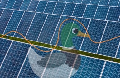 Qu’est-ce que la « Duck Curve », ce problème pour les panneaux solaires ?