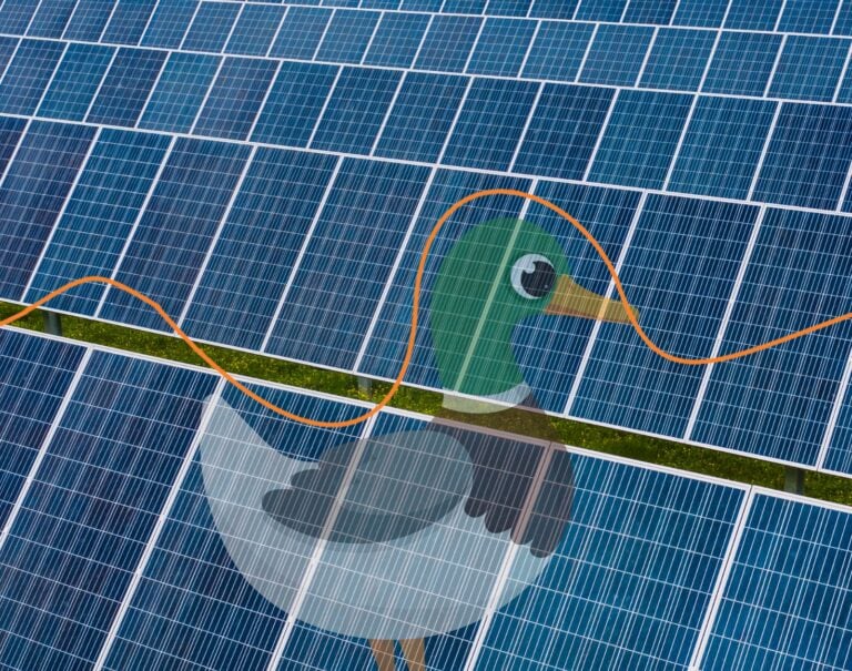 Qu’est-ce que la « Duck Curve », ce problème pour les panneaux solaires ?