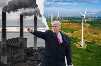 L’élection de Trump signe-t-elle vraiment la fin de la transition énergétique aux États-Unis ?