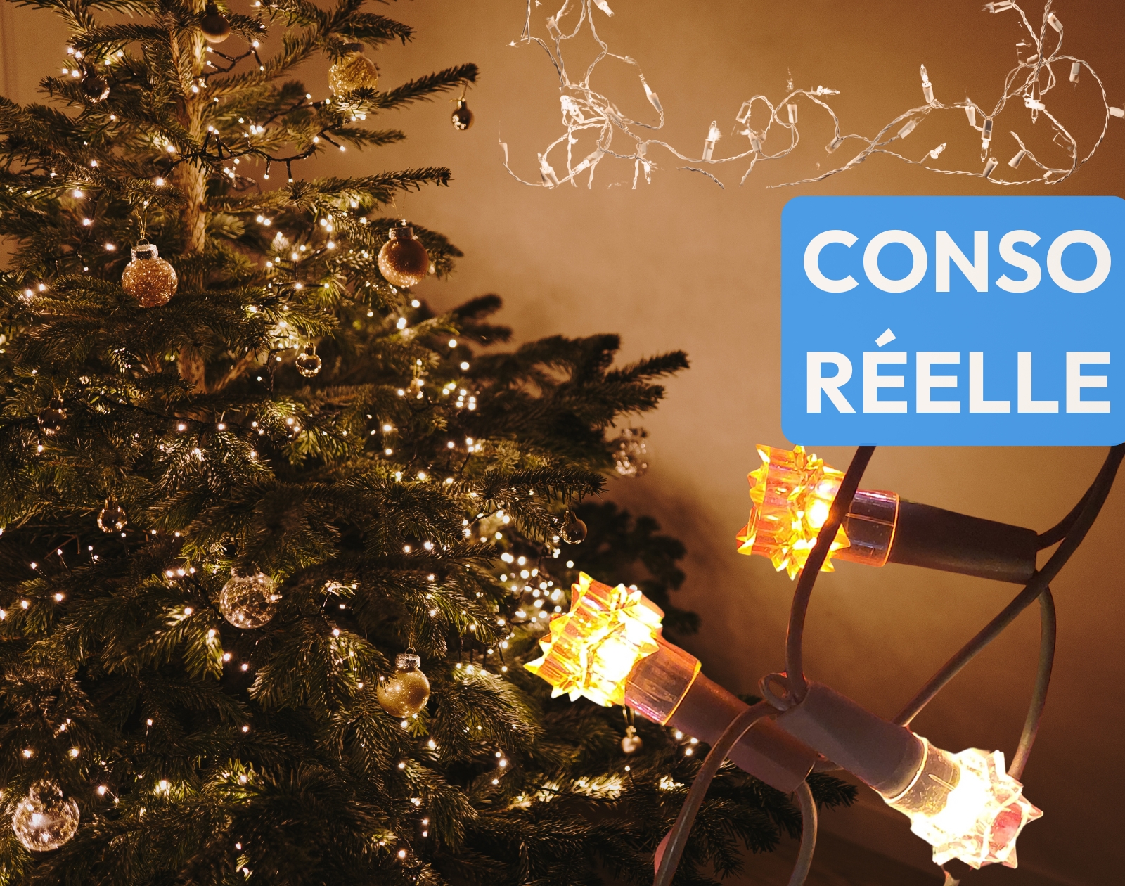Guirlandes Lumineuses LED Noël - Lot De 2 Avec Minuterie, Piles - Pour Intérieur/extérieur, Décorations Fêtes