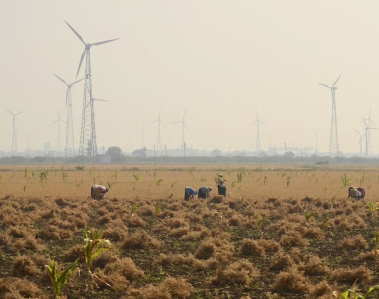 Ce pays construit une gigantesque centrale éolienne et solaire de 30 GW : délire ou génie ?