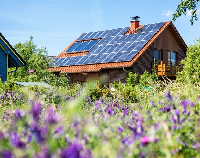 Les panneaux solaires deviennent obligatoires sur les toits de cette ville