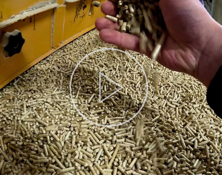 On visite une usine qui fabrique de granulés de bois avec des chutes de charpentes et des palettes (vidéo)