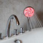 Pommeau Hydrao Aloé