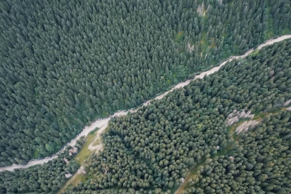Vue aérienne du tracé de la conduite forcée de la micro centrale, enterrée sous un chemin en pleine forêt.
