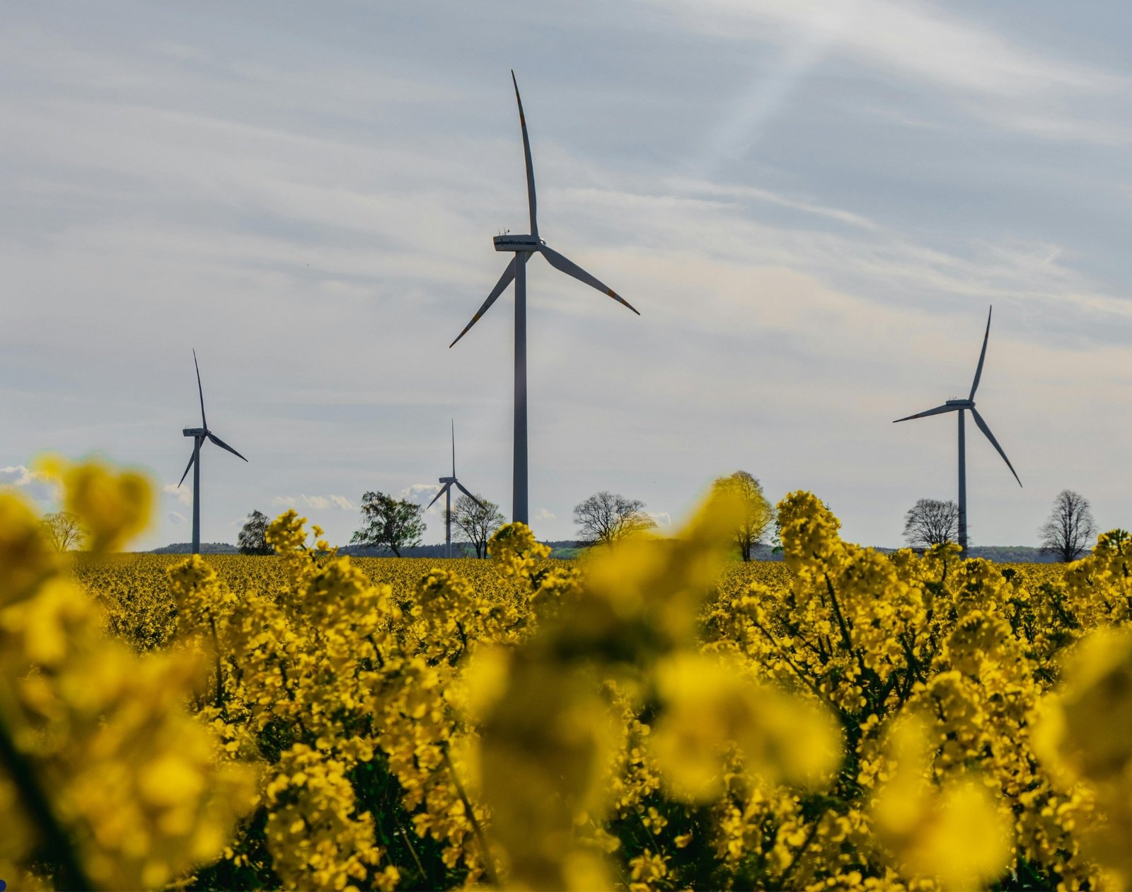 +15 % d’énergies renouvelables dans le monde en 2024 : c’est un record, mais ce n’est toujours pas suffisant